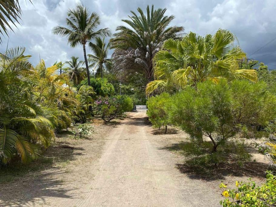 Villa Coco Des Sables Acces Direct Au Lagon La Saline Le Bains Kültér fotó
