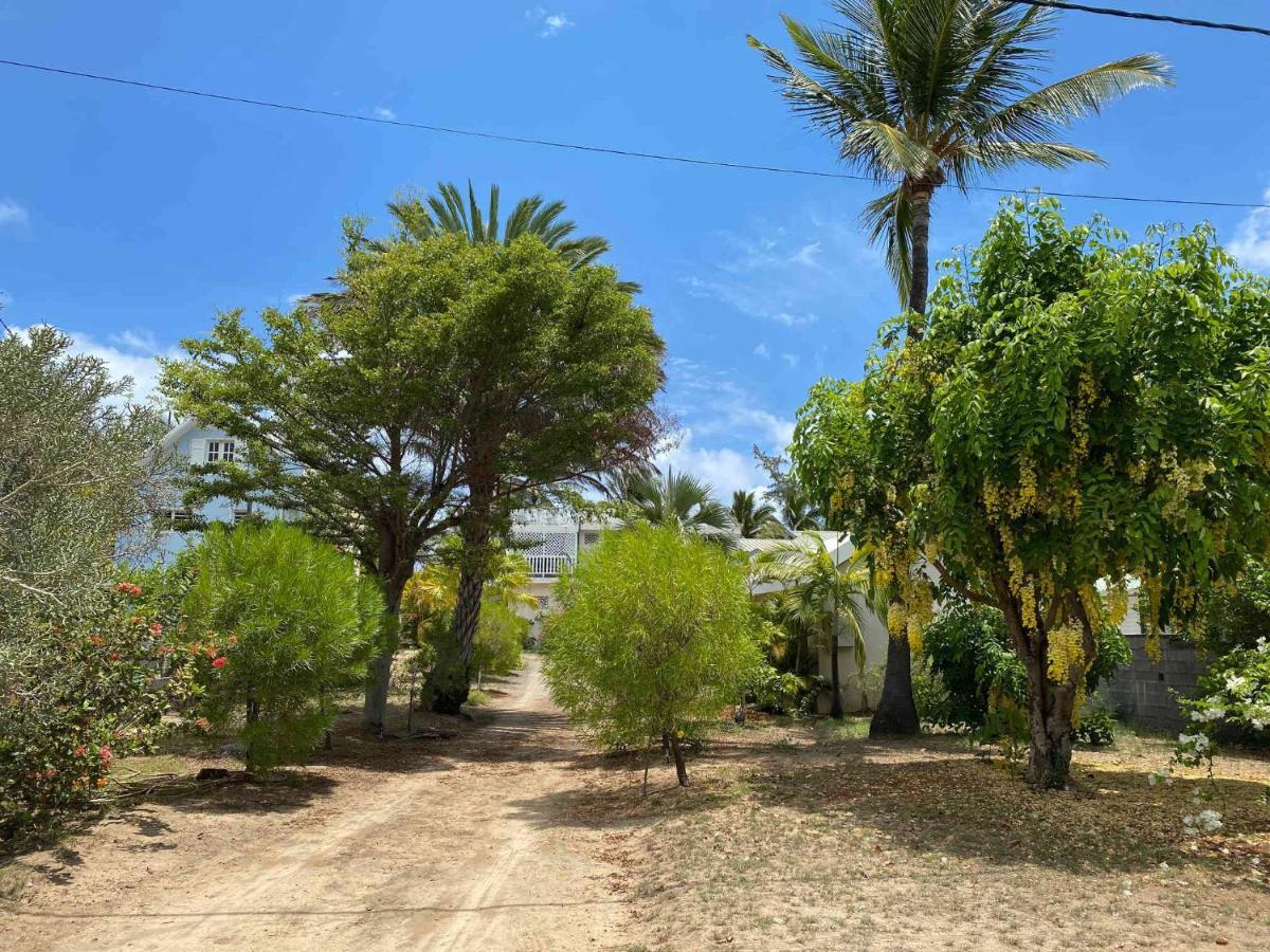 Villa Coco Des Sables Acces Direct Au Lagon La Saline Le Bains Kültér fotó